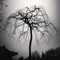 Michael Kenna - Chine