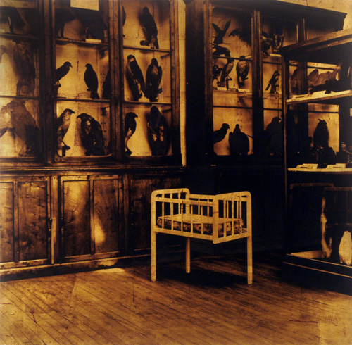 Luis GONZÁLEZ PALMA