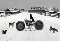 Pentti Sammallahti