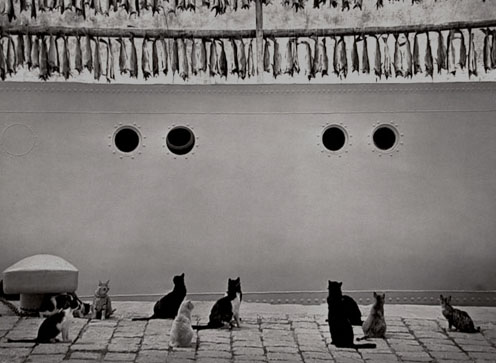 Pentti Sammallahti