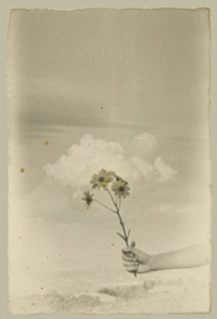 Masao Yamamoto
