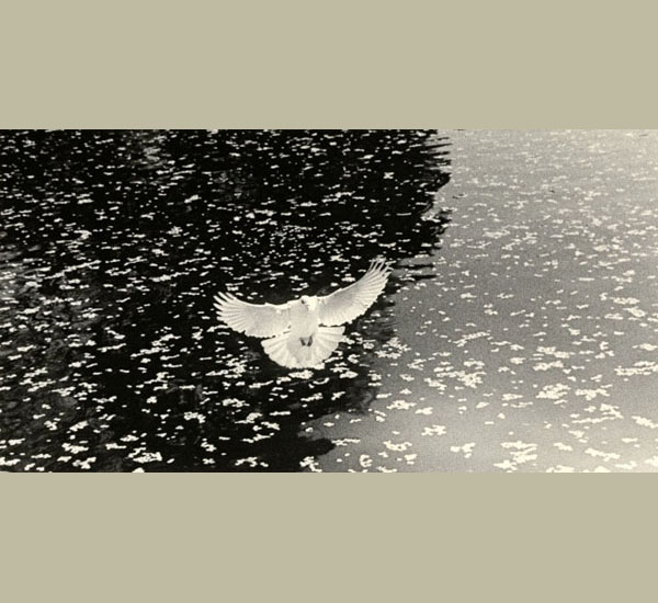 Masao Yamamoto